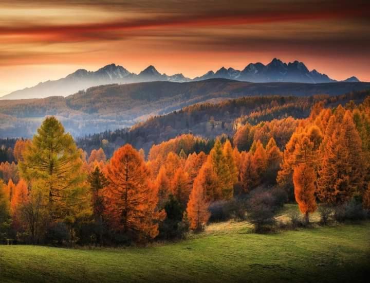 Tatry Panorama Apartmany Tatragolf Tatranska Lomnica Bagian luar foto